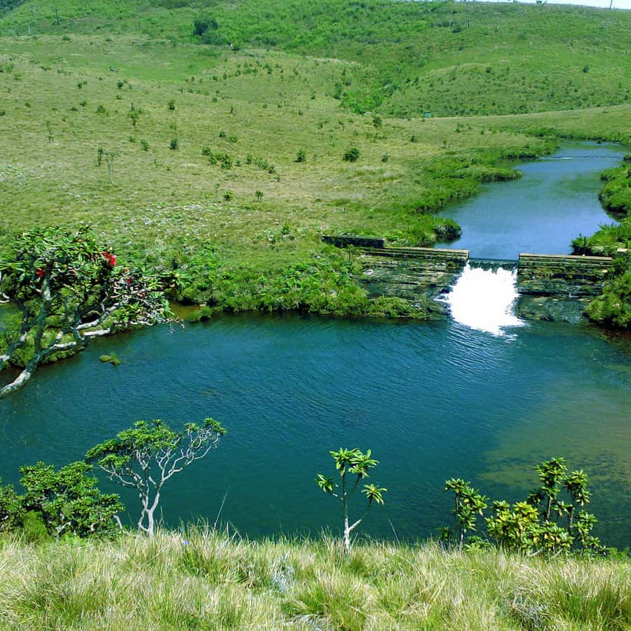 Visita exclusiva a Nuawara Eliya: Visita às planícies de Horton e à fábrica  de chá | GetYourGuide, image size:900x900