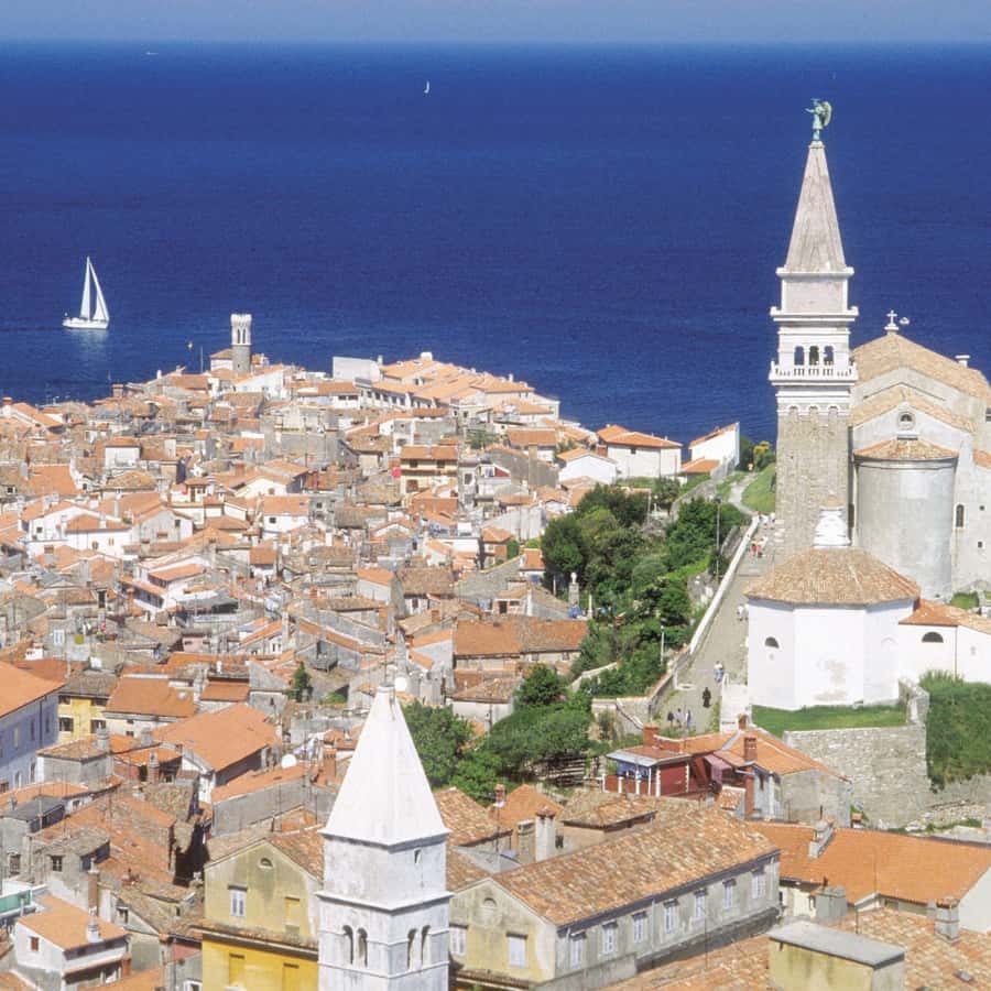 从卢布尔雅那出发：利皮卡种马场和皮兰全日游| GetYourGuide