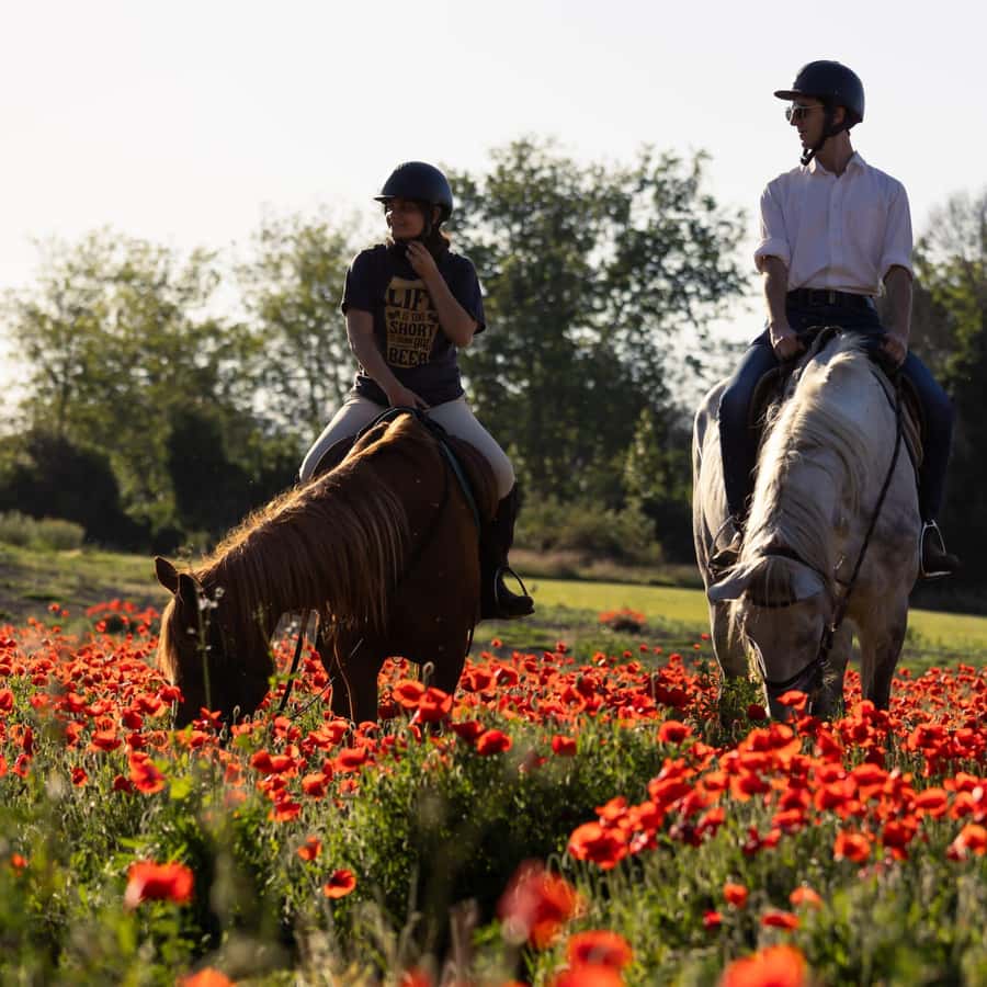 Maglione Nero Con Passanti Frontali - Foto 4