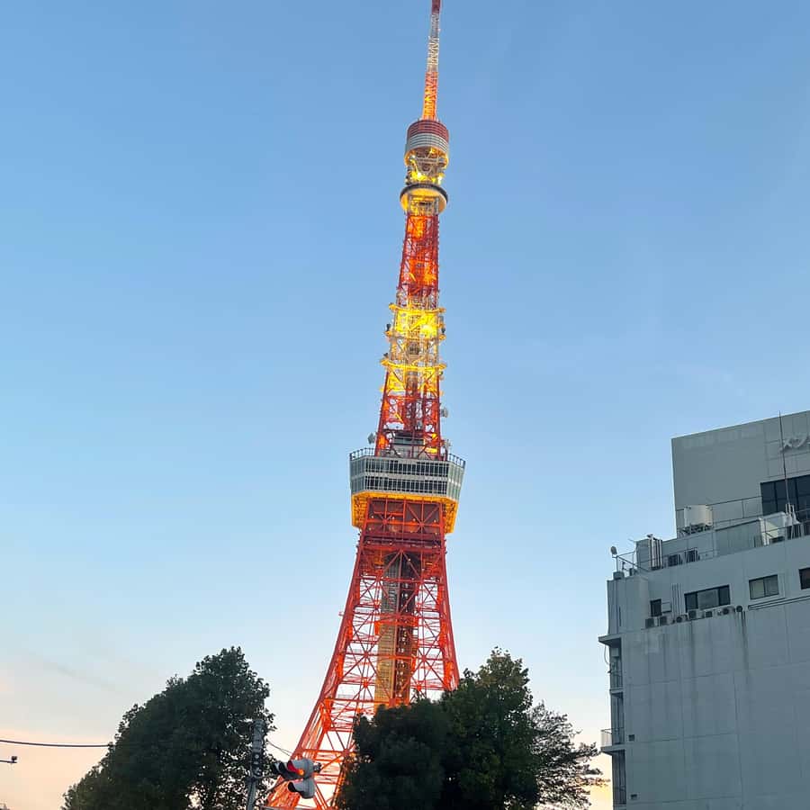 tokino_nagare O-WAY 3点セット 公認】OWAY オーウェイ オンライン