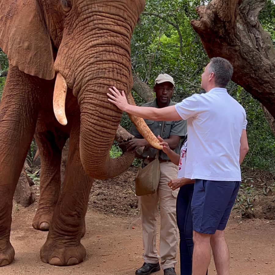 Quênia: O Melhor Safári do Mundo - Diplomacia Business, image size:900x900