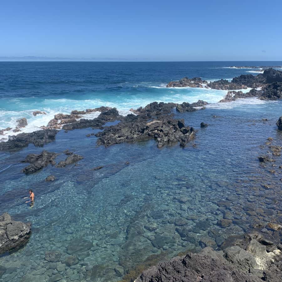 邦楽 BIALYSTOCKS TIDE POOL Bialystocks 1st EP