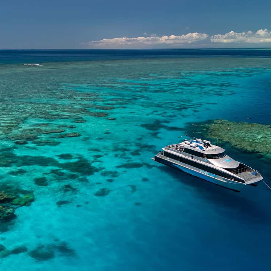 ポートダグラス：シルバーソニック グレートバリアリーフ ダイビング