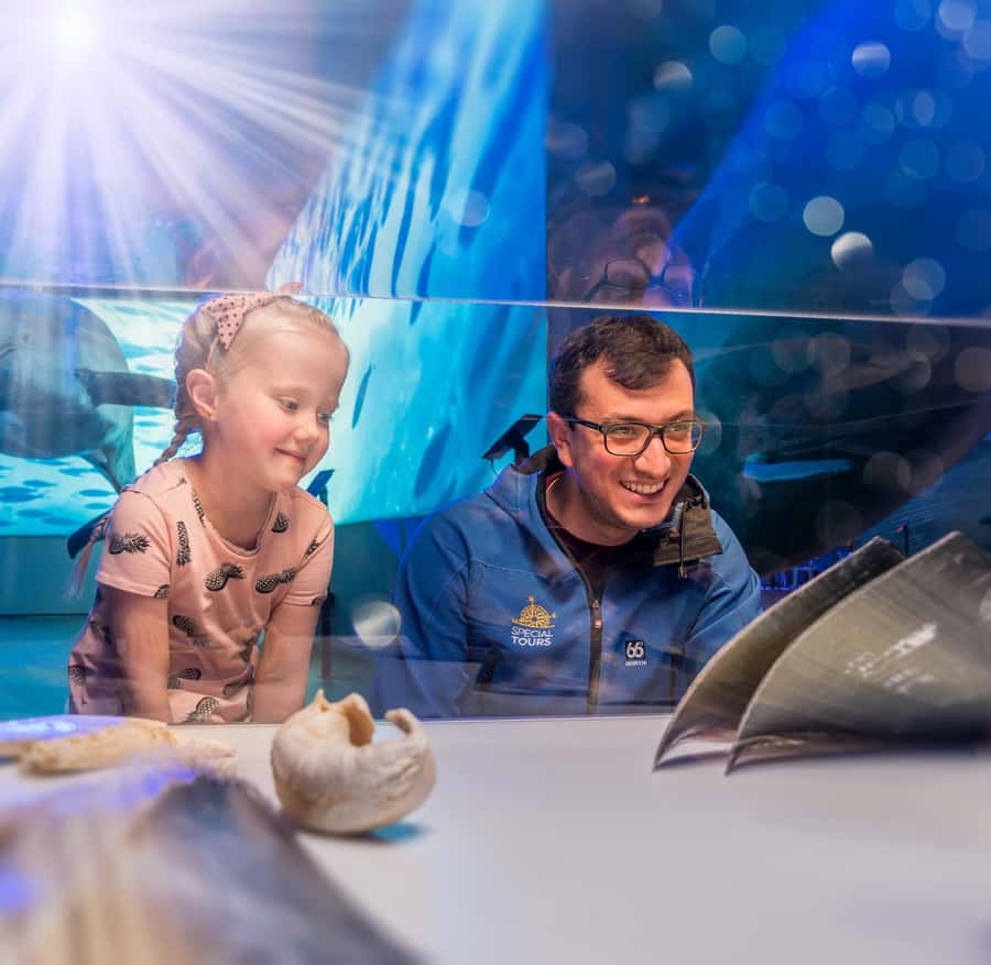 レイキャビク：ホエールウォッチングツアー、アイスランドのクジラ展