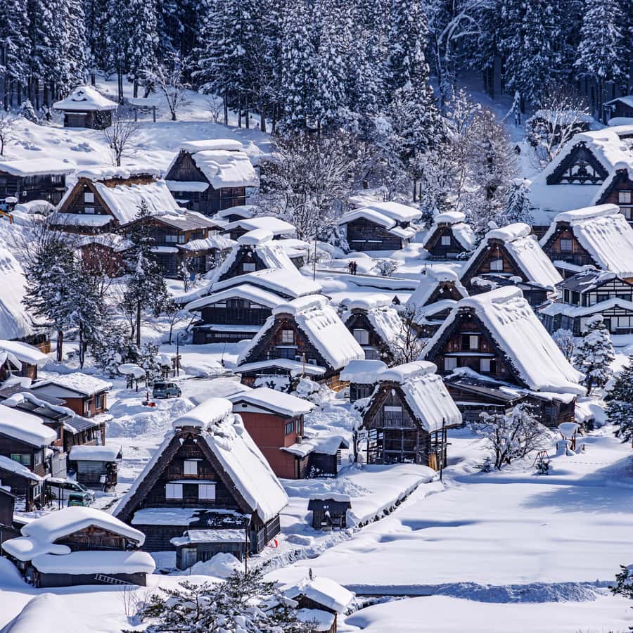 ناغويا: جولة نهارية تاريخية في شيراكاوا-غو وغوجو وهيدا تاكاياما | GetYourGuide