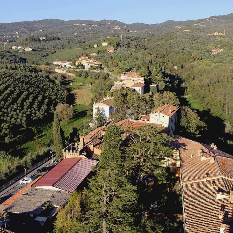 ビンチ村まで行く フィレンツェ発、レオナルド・ダ・ヴィンチの故郷へのプライベート