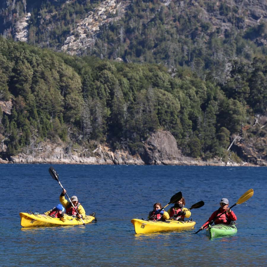バリローチェ：ナウエル・ワピ湖またはモレノ湖への半日カヤック