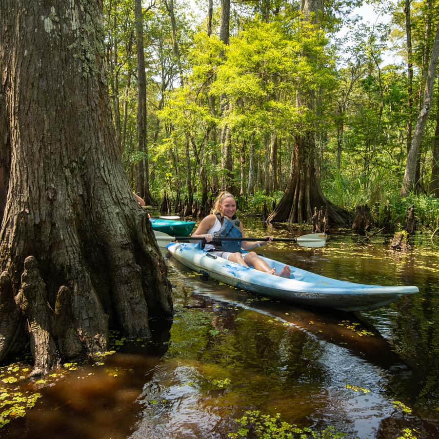 Nueva Orleans: Excursión en Kayak por el Pantano Mágico de Manchac |  GetYourGuide, image size:900x900
