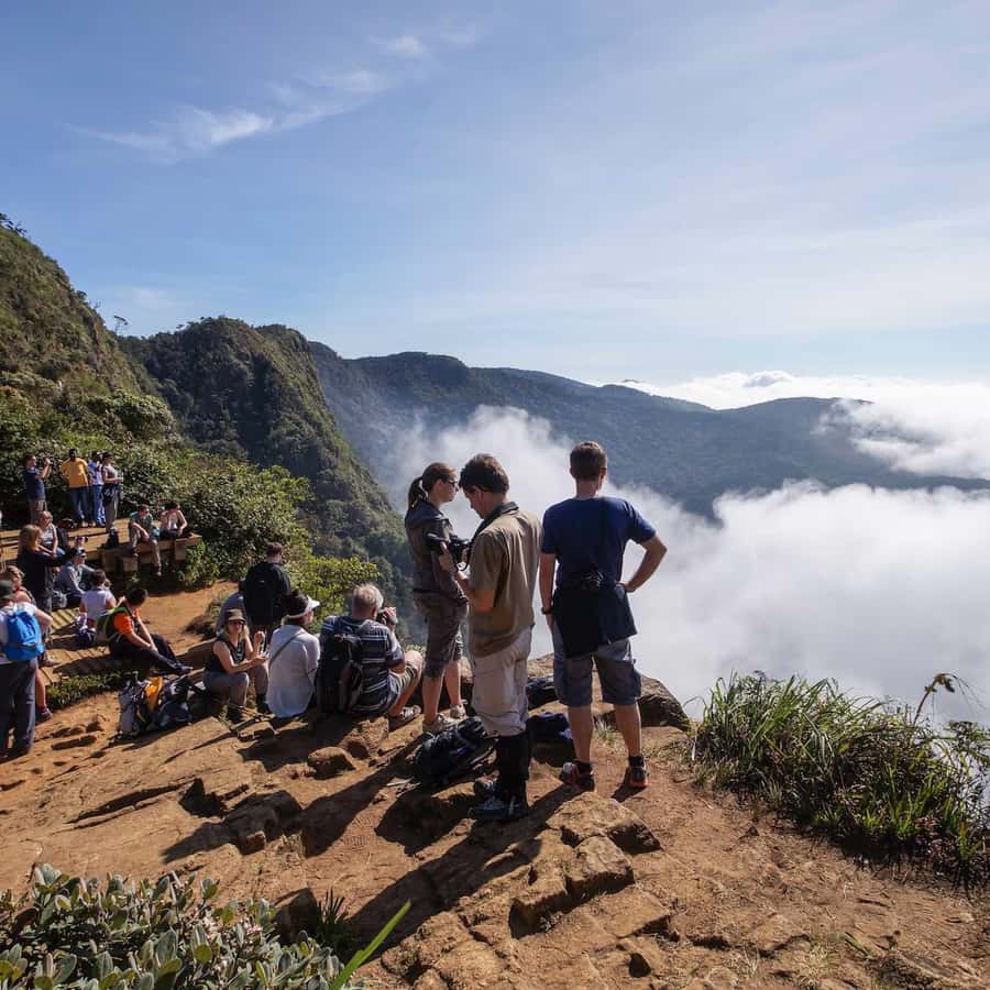 Visita exclusiva a Nuawara Eliya: Visita às planícies de Horton e à fábrica  de chá | GetYourGuide, image size:900x900