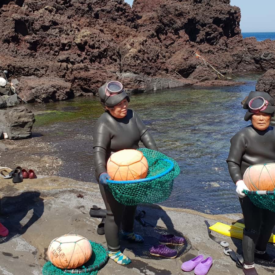 Jeju: Premium Small Group UNESCO Day Tour - East Coast | GetYourGuide