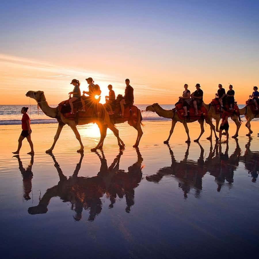 ジェルバ島：ラグーンでのラクダ乗り体験 | GetYourGuide