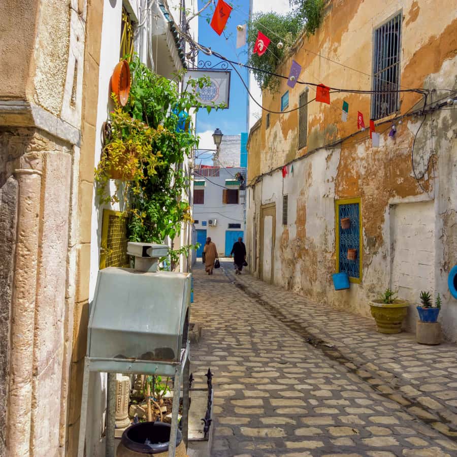 チュニスのメディナ インテリア写真集「The Medina Tunis」 チュニスの