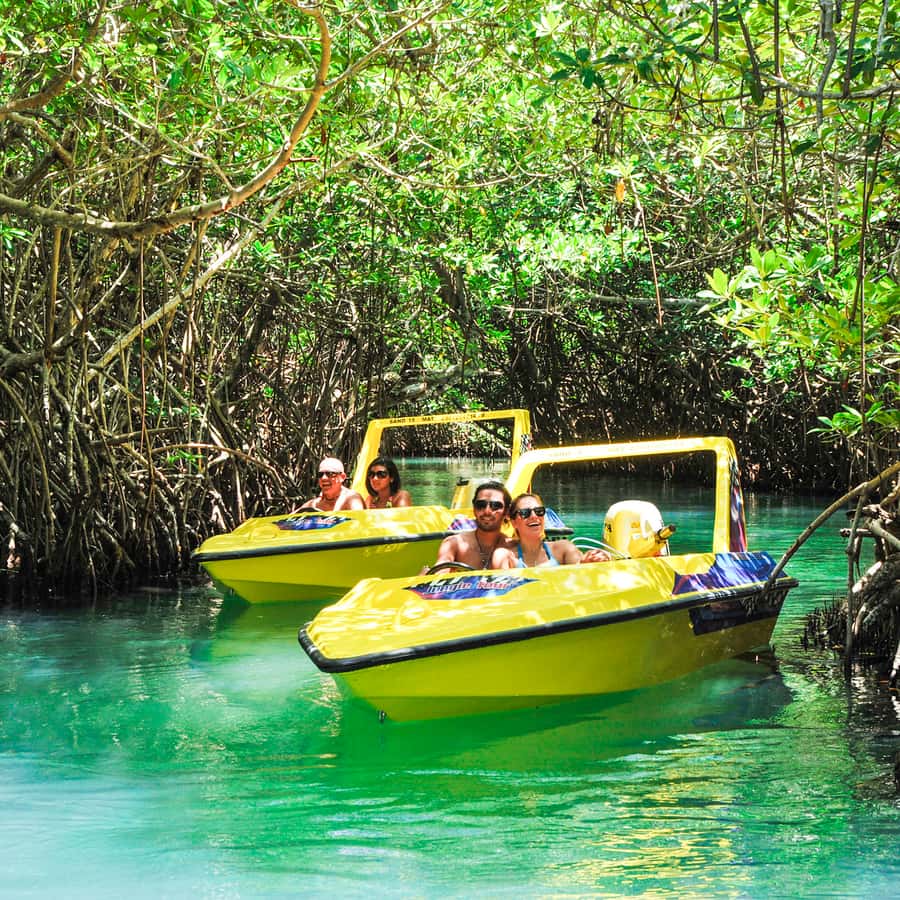 Cancun: Speedboat Mangrove Jungle & Snorkel Tour | GetYourGuide