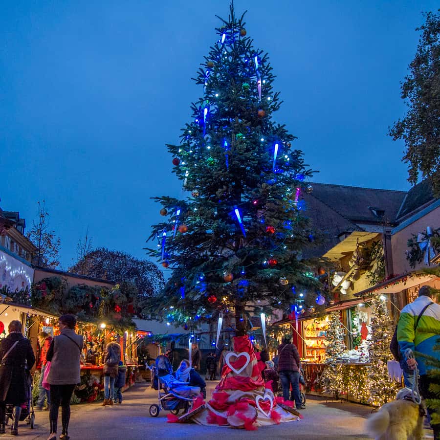 스트라스부르에서 출발: 알자스 마을과 콜마르 크리스마스 마켓 | GetYourGuide, image size:900x900