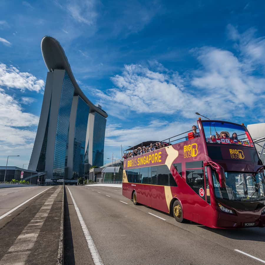 新加坡：敞篷巴士随上随下观光游| GetYourGuide