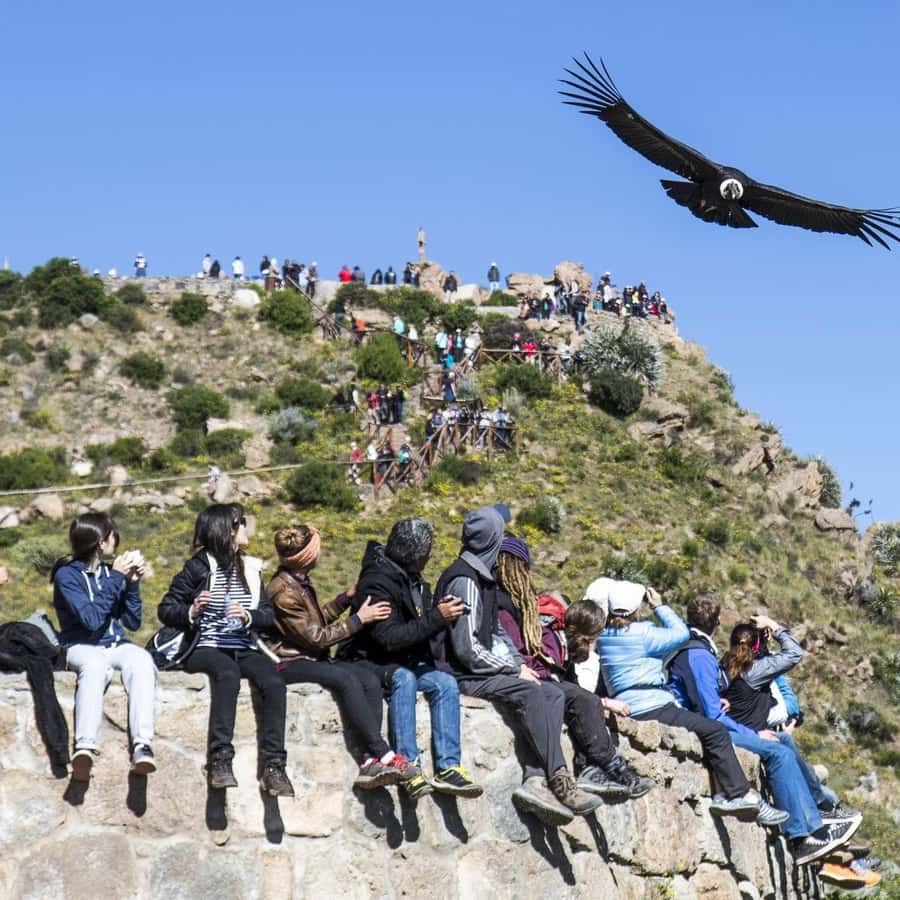 科尔卡峡谷：从阿雷基帕到普诺的2 日游| GetYourGuide