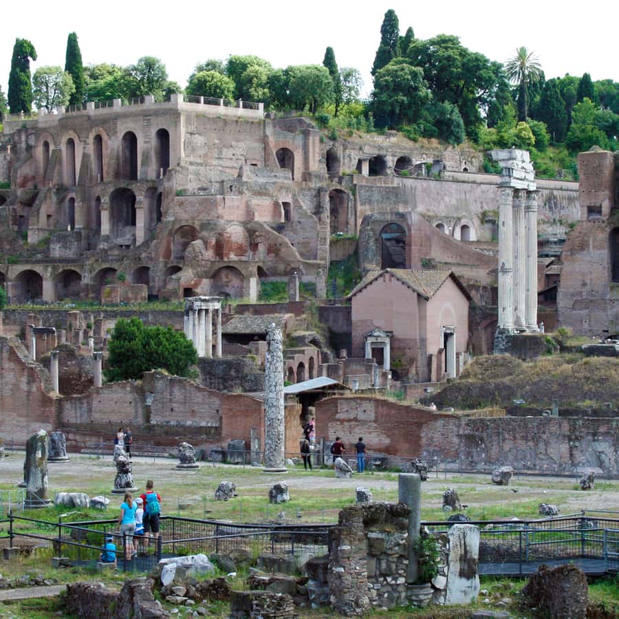 Rome: Colosseum, Roman Forum and Palatine Hill Private Tour | GetYourGuide, image size:900x900