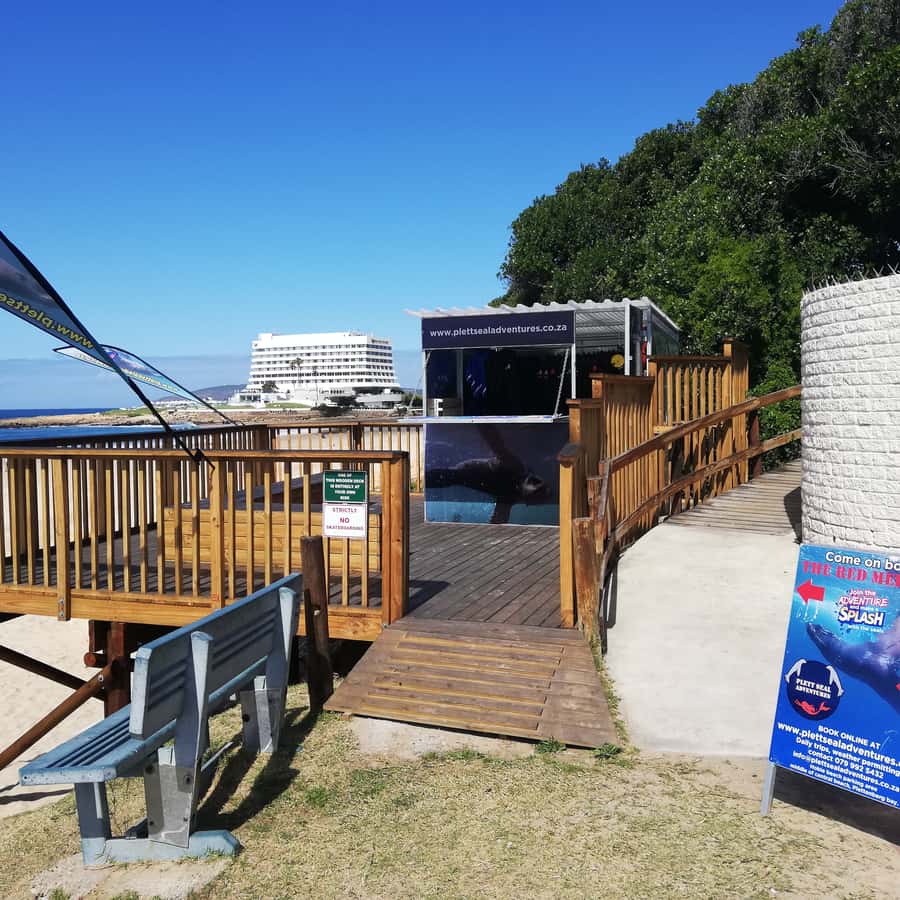 普利登堡湾：海豹游泳体验| GetYourGuide, image size:900x900