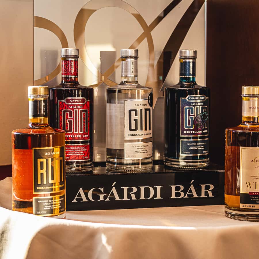 ブダペスト：ハンガリー ウイスキー、ジン、パリンカのテイスティング