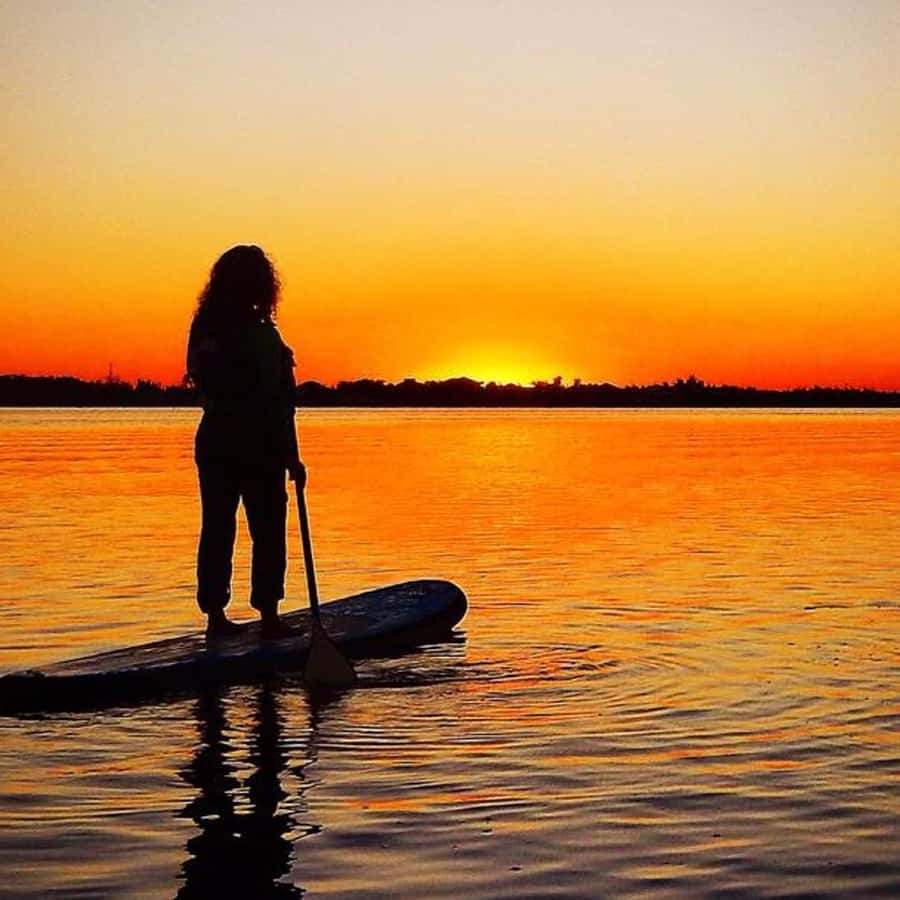 拉夫劳伦刺绣logo真标- 抖音, image size:900x900