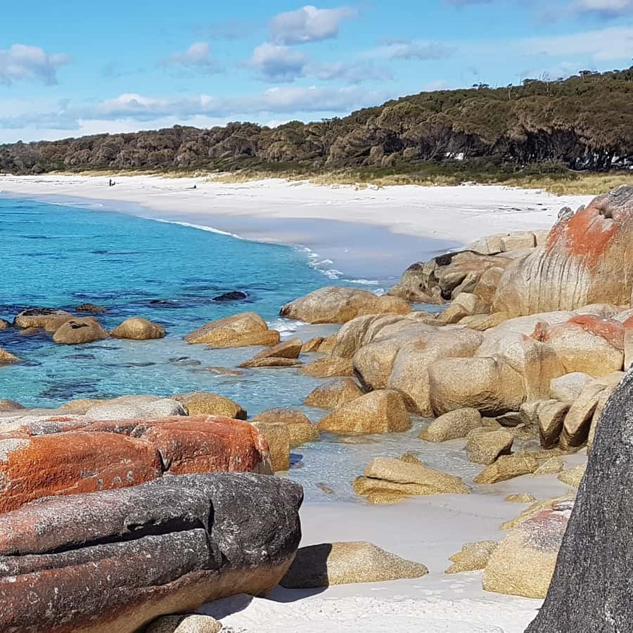 Hobart: 4 Day Wild Tasmania Tour | GetYourGuide Hobart: 4 Day Wild Tasmania Tour | GetYourGuide