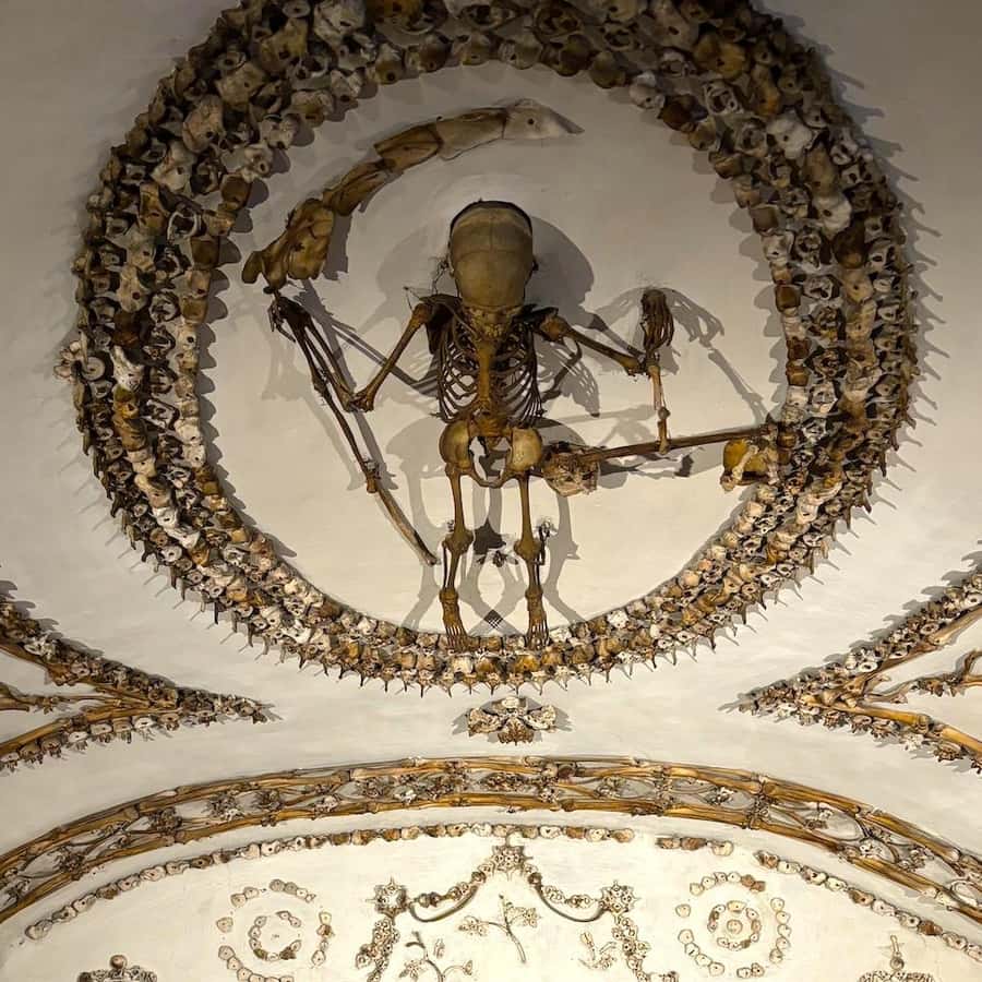 죽음의 애니메이션 드로잉 리퍼 만화, 저승 사자, 만화, chibi png | PNGEgg, image size:900x900