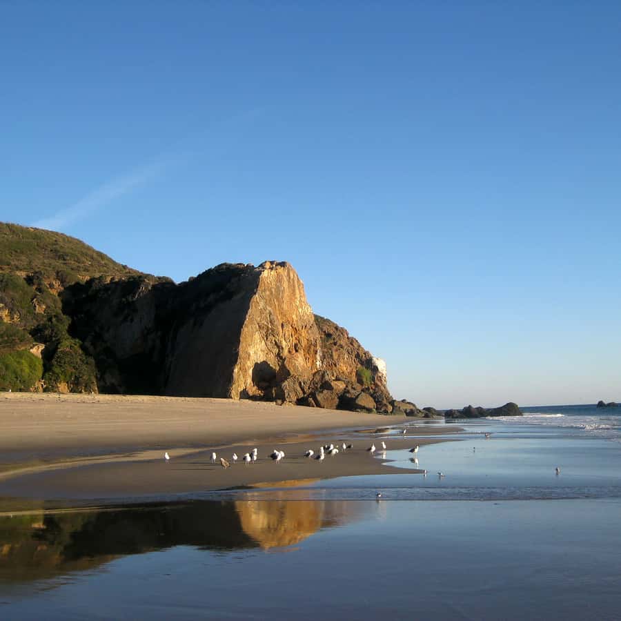 马里布：4 小时户外攀岩活动| GetYourGuide, image size:900x900