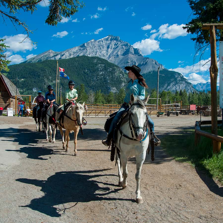 Parque Nacional de Banff: passeio a cavalo de 2 horas em Sundance Loop |  GetYourGuide