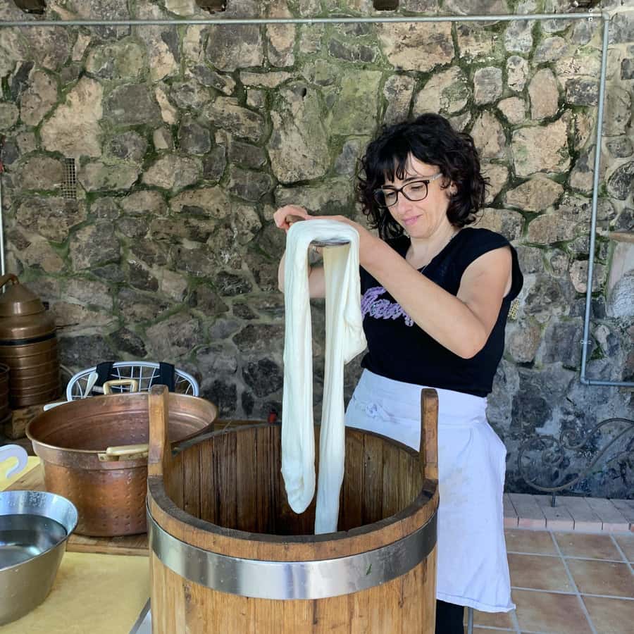 与我们的家人一起挤奶、制作马苏里拉奶酪和意大利土豆团子| GetYourGuide