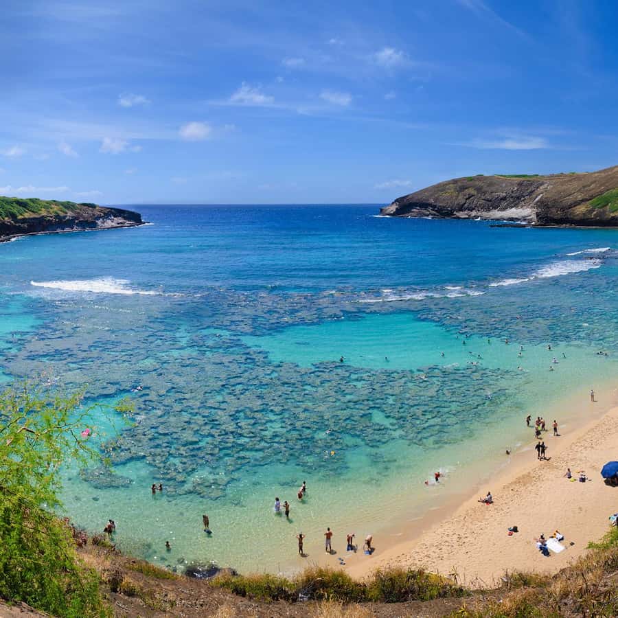 檀香山：瓦胡岛观光和环岛美食之旅| GetYourGuide