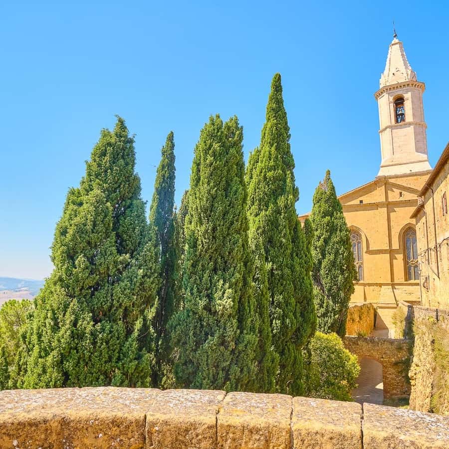 Gennaro - (Civitavecchia: 1998) nave traghetto Sardinia Regina \, image size:900x900