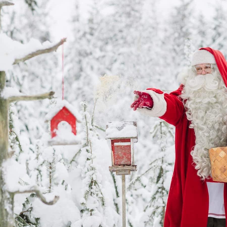 写真、証明書、昼食付きのサンタクロース村 | GetYourGuide