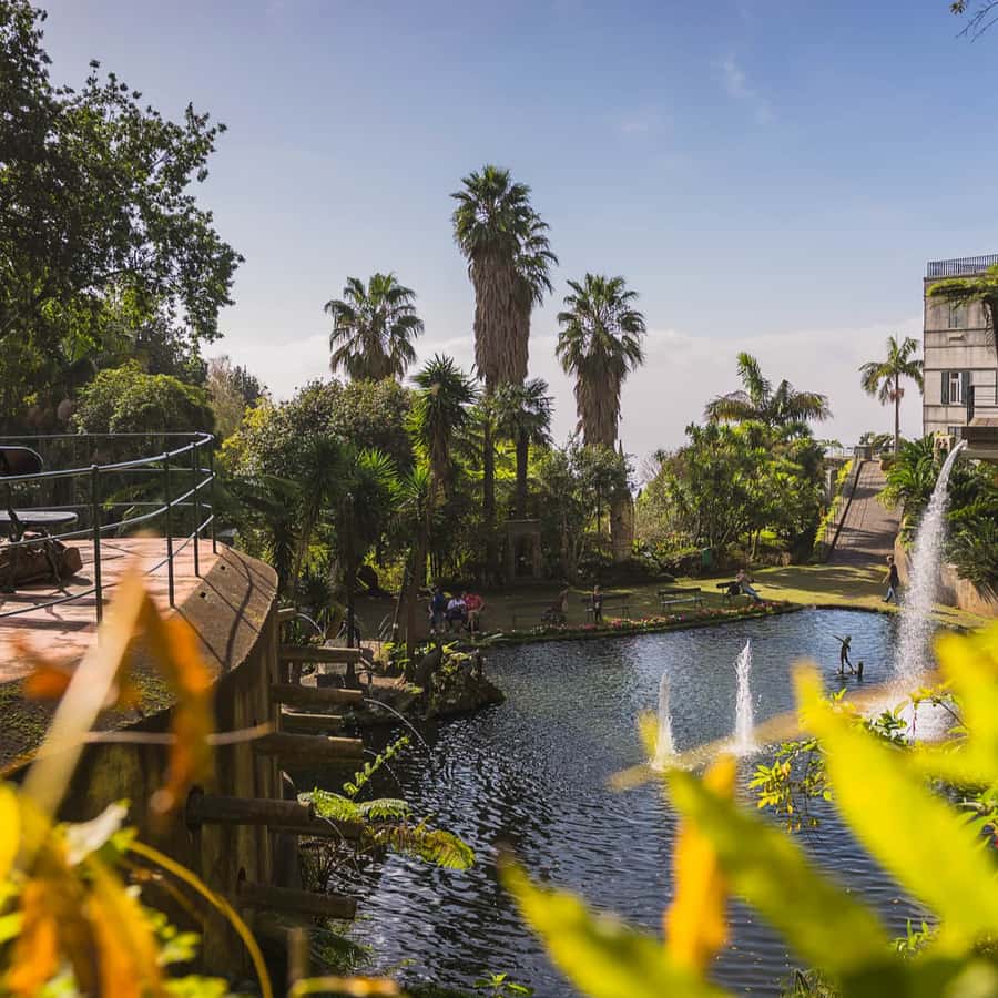 열대지방이야~ ㅎㅎ, image size:900x900