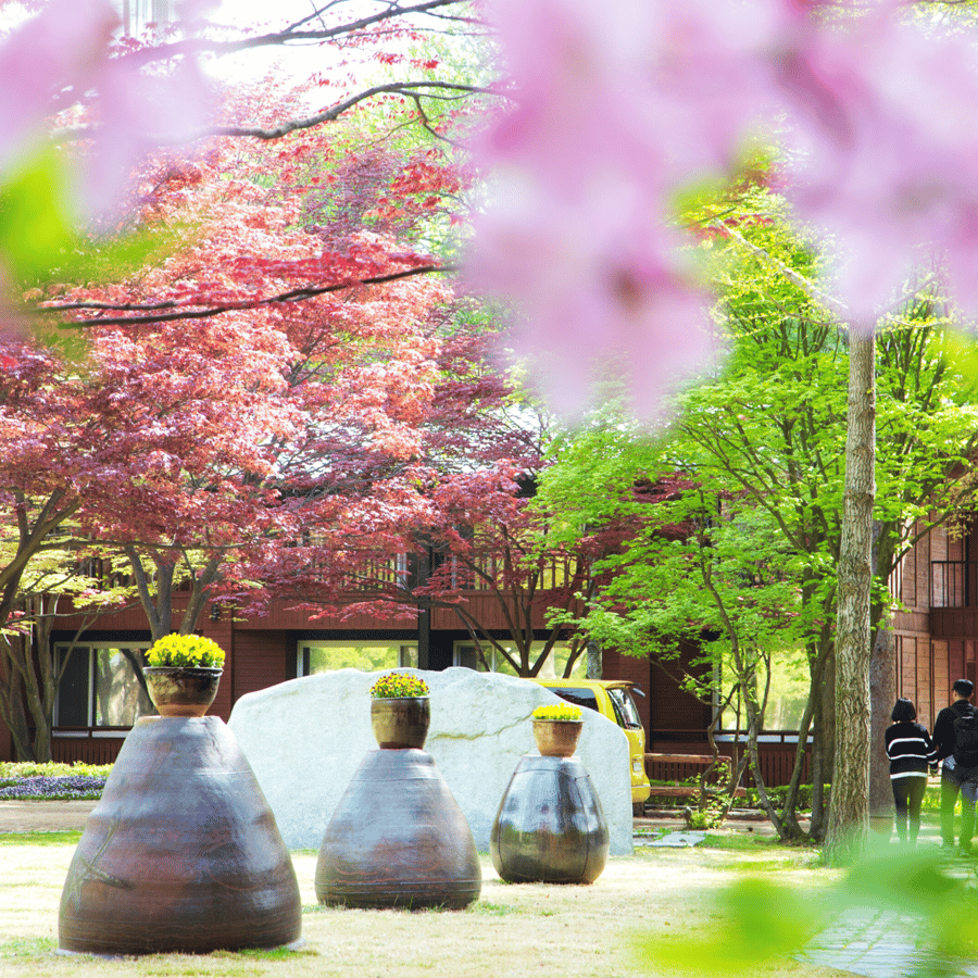 Seoul: funivia Samaksan e Nami con Alpaca World/railbike | GetYourGuide