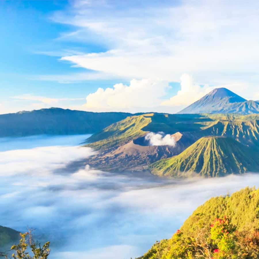 magic con プロモ　山 627087b752bb7.jpeg