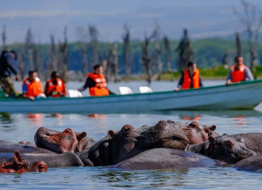From Nairobi: Hell's Gate National Park & Lake Naivasha Tour | GetYourGuide