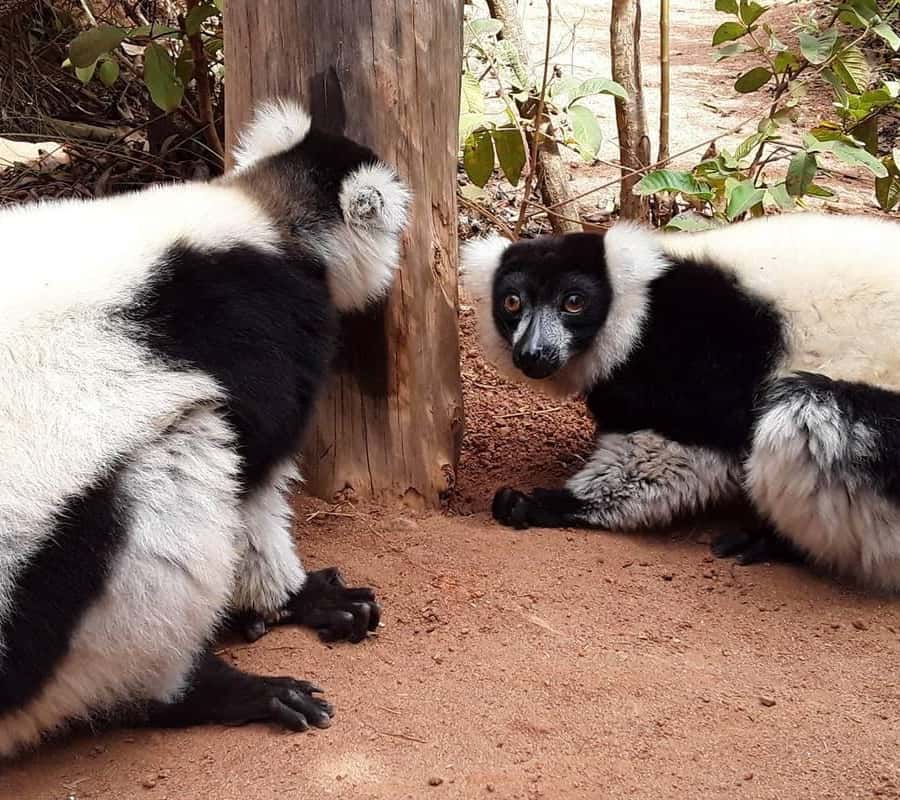 62c02530f94f9e102b874457b6bcbe