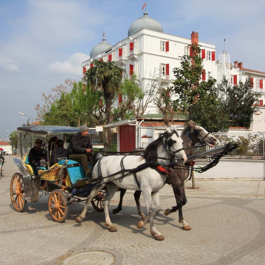 静謐なイスタンブールの黄昏 – 限定37部 イスタンブール発：昼食付きプリンセス島終日ツアー | GetYourGuide