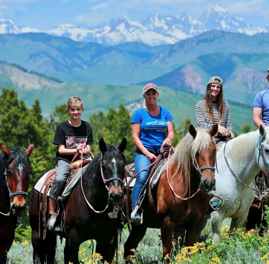 dyr | Lisbeth Fallings Blogg, image size:900x885