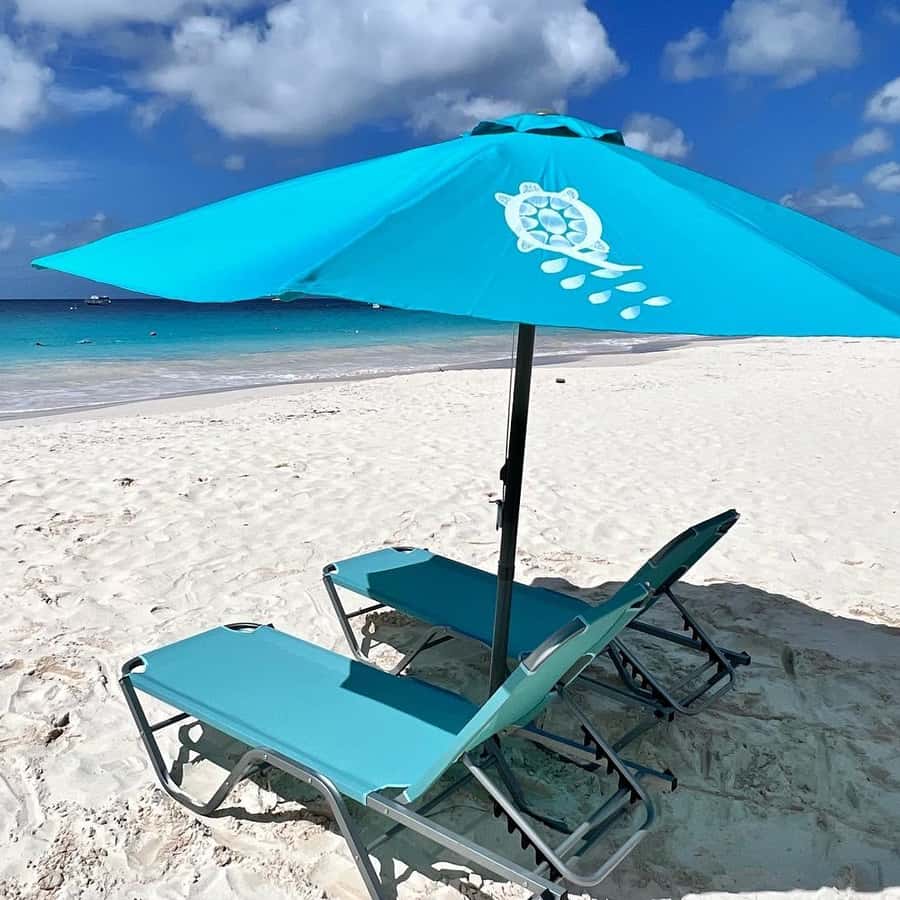 Barbados: Carlisle Bay Beach Day and Turtle Swim Experience