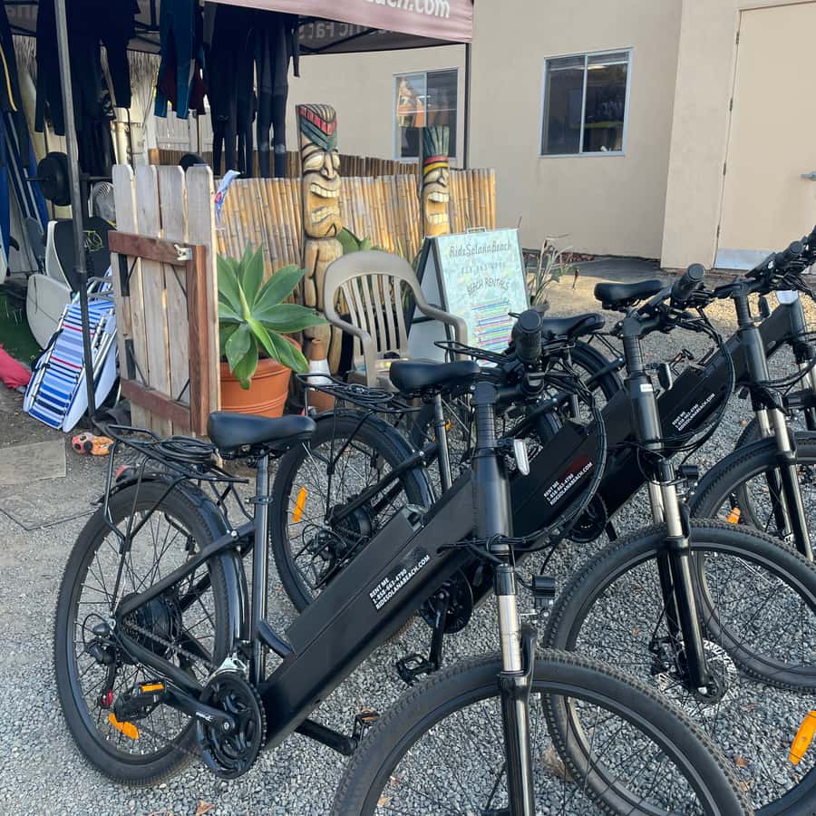 Solana Beach: Alquiler de Bicicletas Eléctricas con 5 niveles de asistencia  al pedaleo | GetYourGuide