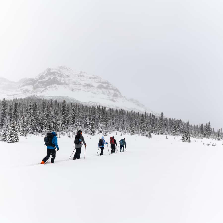 班夫：AST 1 - 雪崩技能培训1 级| GetYourGuide