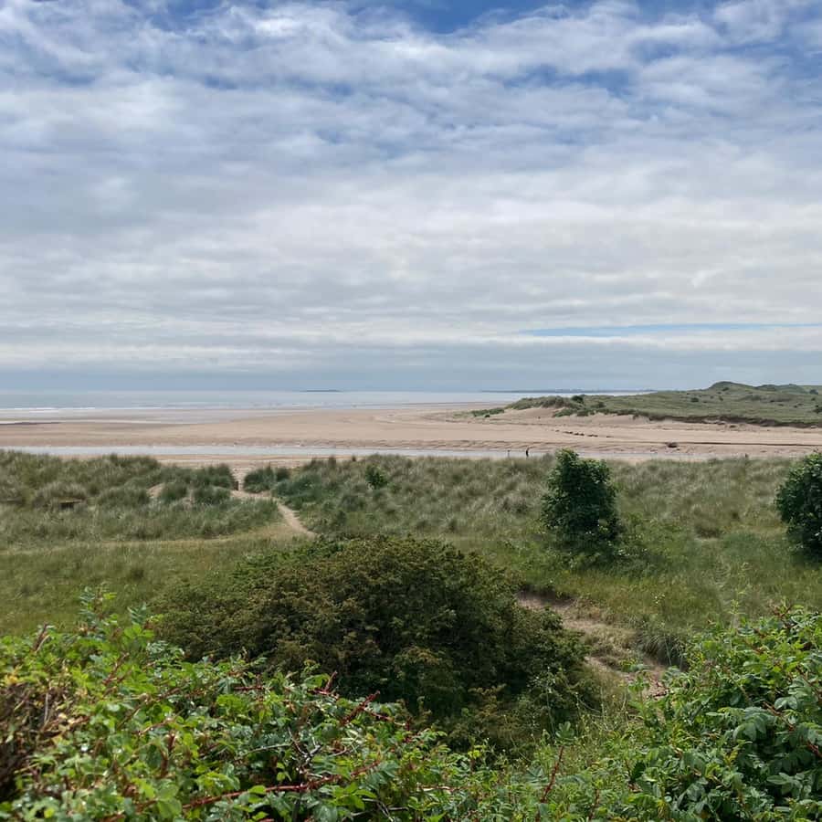 【PSA10】TEST-AC-24 ベジット 海外版 ロケテスト 世界3枚 PSA10】TEST-AC-24 ベジット 海外版 ロケテスト 世界3枚 2025年最新