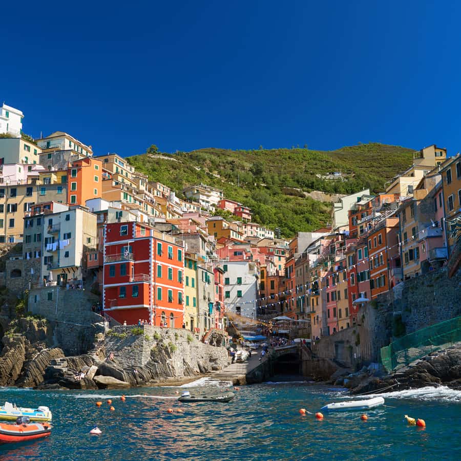 From Livorno: Day Trip to Pisa and Cinque Terre's Manarola | GetYourGuide, image size:900x900