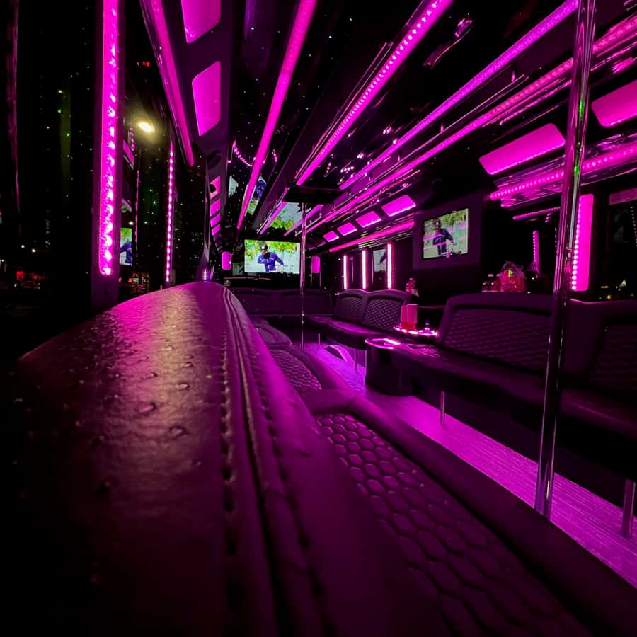 라스베이거스: 바, 나이트클럽, 스트립 클럽으로 떠나는 VIP 나이트 라이프 투어 | GetYourGuide