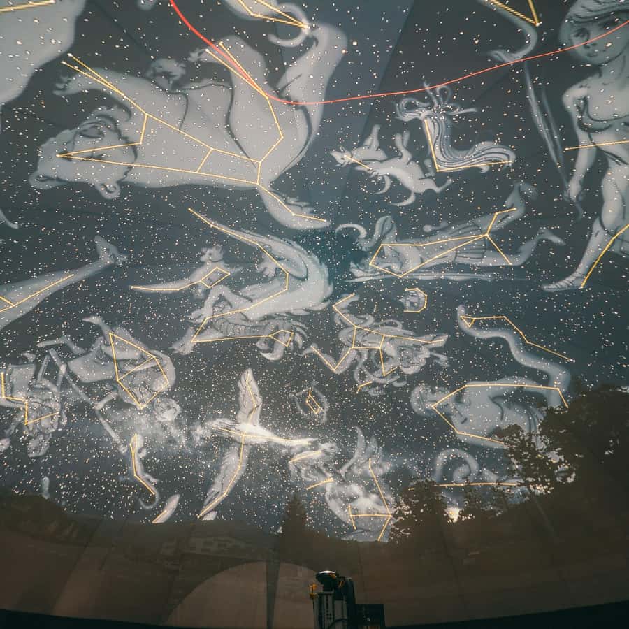 재스퍼: 플라네타리움 실내 돔 체험 | GetYourGuide