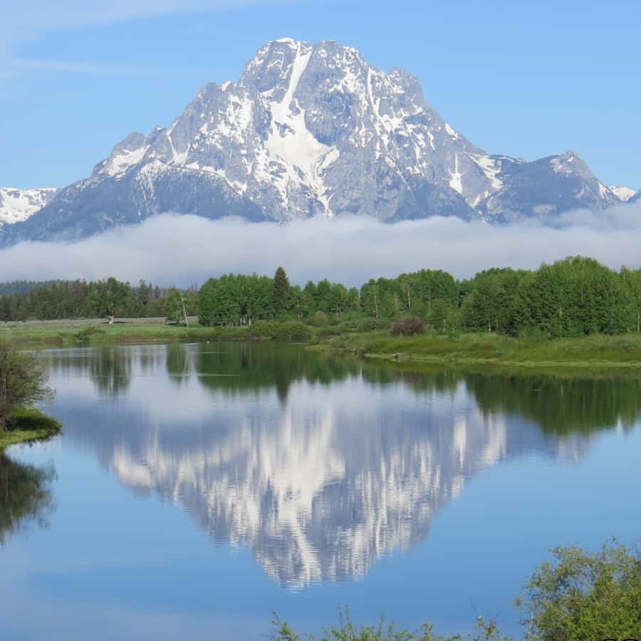 从杰克逊霍尔出发：大提顿国家公园日出之旅| GetYourGuide