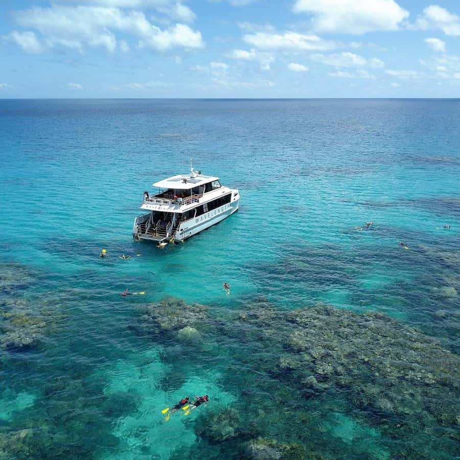 ポート ダグラス: アウター グレート バリア リーフ シュノーケリング