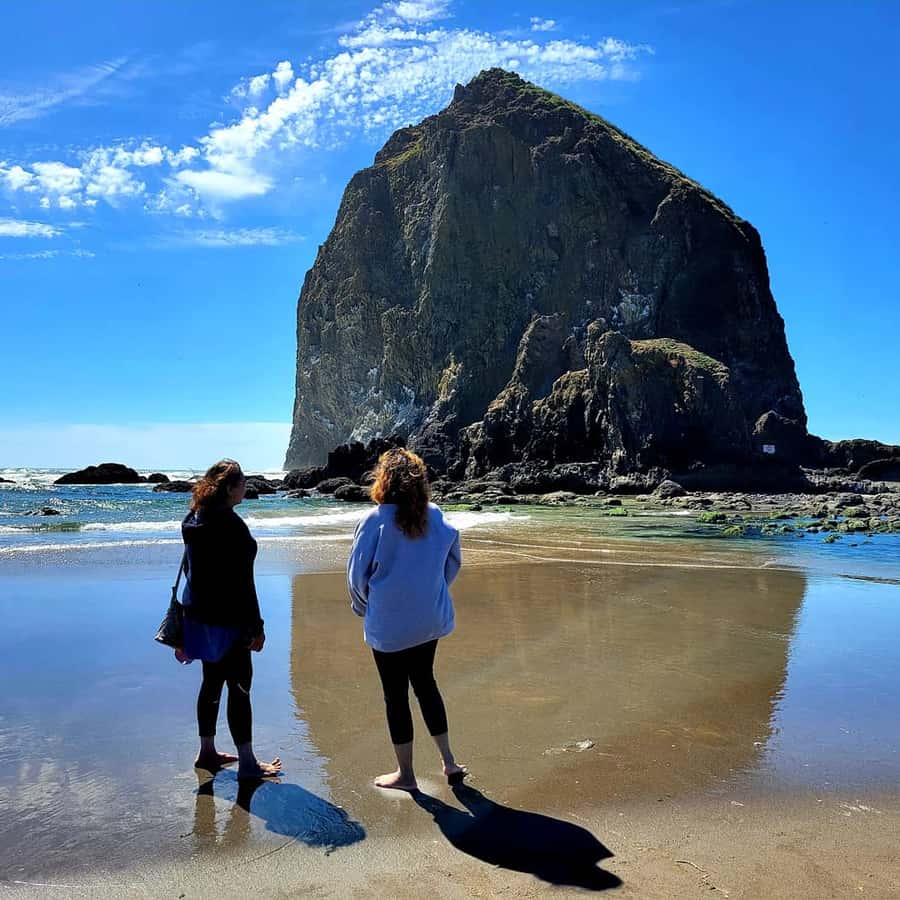 从波特兰出发：俄勒冈海岸探险一日游（含接送） | GetYourGuide, image size:900x900