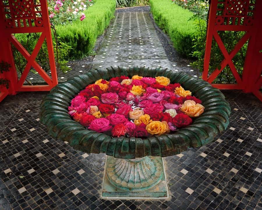 マラケシュ ツアー庭園マジョレル庭園、メナラ庭園、アニマ庭園